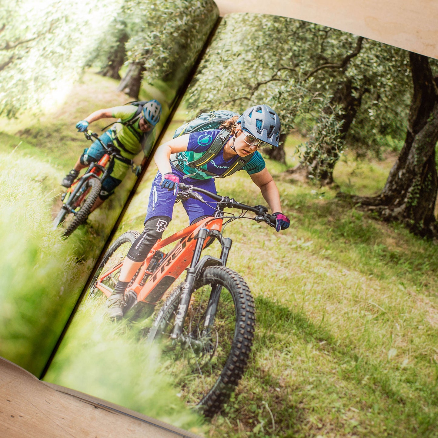 „Uphill-FLOW – E-MTB-Fahrtechnik“ Buch von Markus Greber und Stefan Schlie